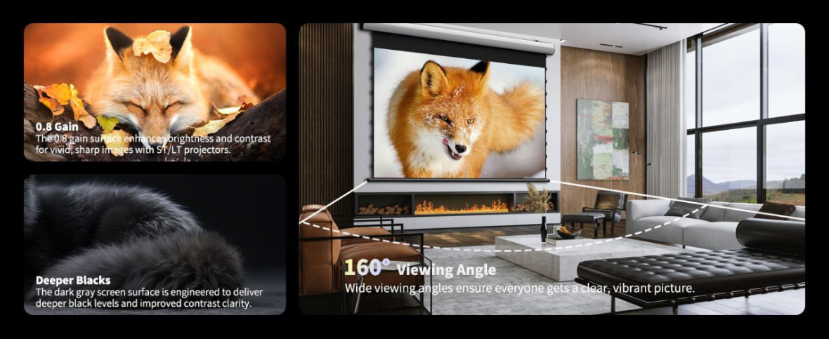 Моторизований настінний/п экран ALR100